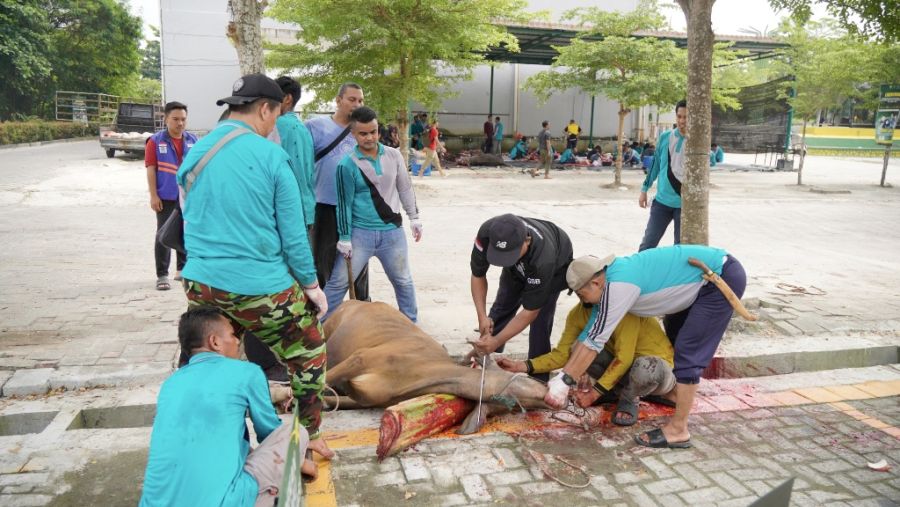wujudkan-semangat-berbagi-dan-tebar-kepedulian-umri-sembelih-hewan-kurban